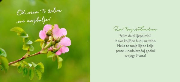 Dar knjiga - LIJEPE ŽELJE ZA ROĐENDAN - Slika 3