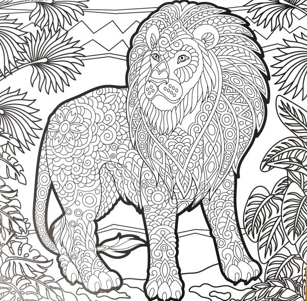 Bojanka mandala - Čudesna priroda - Slika 3
