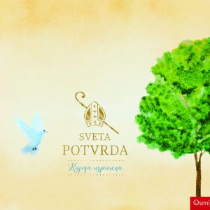 Dar knjiga - SVETA POTVRDA Knjiga uspomena